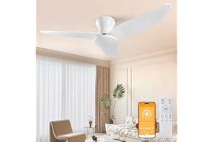 HAODRISK 100 CM-Ventilatore da Soffitto con Luce con Telecomando, 60 W Ventilatore da Soffitto Silenzioso 6 Velocità Reversibile, Ventilatore da Soffitto Lampada Dimmerabile Timer per Camera da Letto Soggiorno