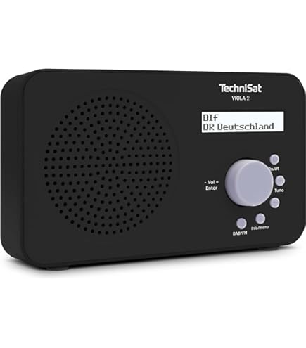 TechniSat Viola 200 super simpele digitale portable radio met DAB en FM zonder poespas, zwart (AA batterijen: Zonder batterijen) | TechniSat | De