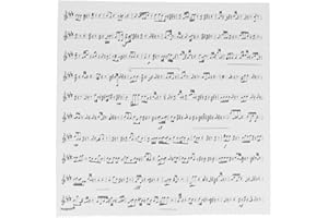 ‎MUGESH Putztuch mit Noten für Instrumente aus Microfaser (30 x 30 cm) - Schönes Geschenk für Musiker