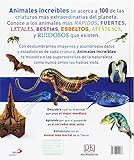 Image de Animales increíbles: Las 100 criaturas más grandes, rápidas y letales del planeta (Conocimiento y consulta)