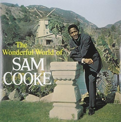 The Wonderful World of Sam Coo [VINYL]