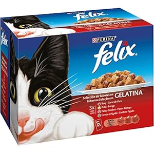 Purina Felix Gelatina comida para gatos Selección Surtido de Carnes 12 x 100 g