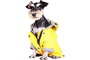 SKATEBOARD FROG Hund Regenmantel Jacke mit Reißverschluss Gelber Kapuzenpullover Wasserdicht Stilvolle