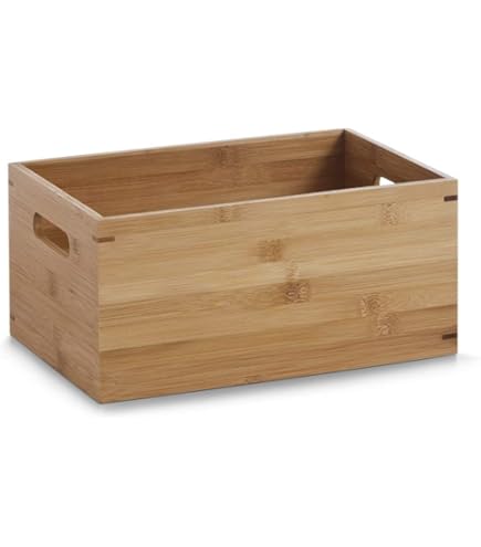 Giganplast Boîte Récipient Pour Aliments Avec Anses Service Cm 60 X 40 X 32 1885hd 1 Pz