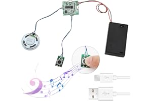 ‎APKLVSR APKLVSR MP3 Sound Chip Modul, 8M MP3-aufnehmbares PCB-Soundmodul USB-herunterladbares Soundmodul für Bastelarbeiten,MP3 Sound Chip Modul programmierbarer,mit AA-Batteriebox + USB-Kabel für DIY