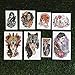 Tattify Cool Female Portrait Temporary Tattoos - Ladies Night (Set of 16)