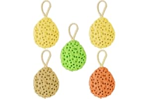 Dadabig 5Pcs Esponja de Baño Naturales Esponja Hidrofílica Esponjas de Ducha Súper Suave para Limpieza Corporal de Mujeres Hombres (4 Colores,10x8cm)