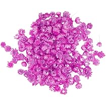 420 Fiori Secchi Miniaturali Per Resina E Crafts - Fiori Pressati Naturali Per Unghie E Gioielli