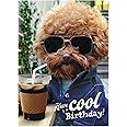 The Avanti Funny Birthday Card For Men/Women From The Avanti Range - Dog Wearing Sunglasses, Coffee, Shadows, Cold - Greeting Card For Him/Her (GBCC- AVEDH0017 - View #14