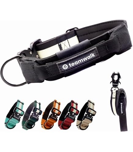 VITOMALIA Taktisches Hundehalsband – 4 Cm Breit, Nylon Mit Magnet-Handgriff, Für Mittelgroße Hunde (40-50 Cm)