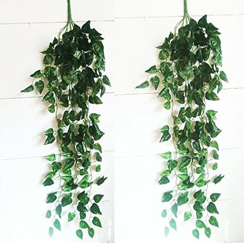 Suchergebnis auf Amazon.de für: Blume hängend Blume hängend