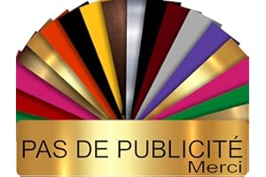 GRAVURE CONCEPT Plaque PAS DE PUBLICITÉ MERCI Adhésive PVC Pour Boîte Aux Lettres - Plaque Stop Pub - 8 cm x 2 cm - 21 Couleurs Disponibles (Or Brillant)