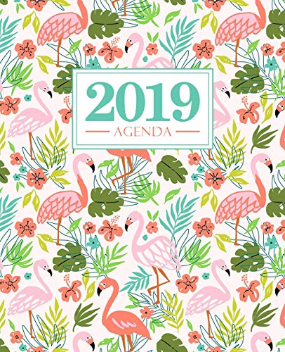 Télécharger Agenda 2019: 19x23cm : Agenda 2019 semainier français : flamant 5968 Francais PDF