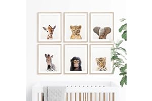 Youihom 6 Poster Animales a4 Laminas Selva Infantiles Cuadro Bebe Ciervo Mapache Zorro Conejo Pingüino Ardilla Lienzo Decorativo para Pared Dormitorio Regalo sin Marco