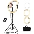 8" LED Selfie Light with Stand for Makeup & Live Streaming | Adjustable Brightness, Tripod, Phone Holder & Wireless Remote for YouTube and Video Recording (MULTICOLOR)