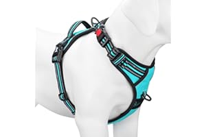 PoyPet No Pull Dog Harness, [Release on Neck] Reflective Adjustable No Choke Pet Vest with Front & Back 2 Leash Attachments, Soft Control Training Handle for Medium Dogs(Mint Blue,M)