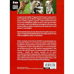 Educare o rieducare il cane