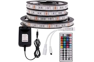 XUNATA 12V Tiras LED RGB 5050 SMD 300 LEDs Para TV Tira de Luces LED Kit Completo con control remoto de 44 teclas (Impermeable (IP65), 1m 60LEDs)
