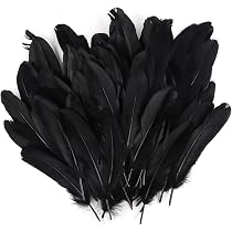 40 Stück Goldgetauchte Gänsefedern – Natürlich Schwarz, 15-22 Cm Lang, Für DIY, Deko & Hochzeit