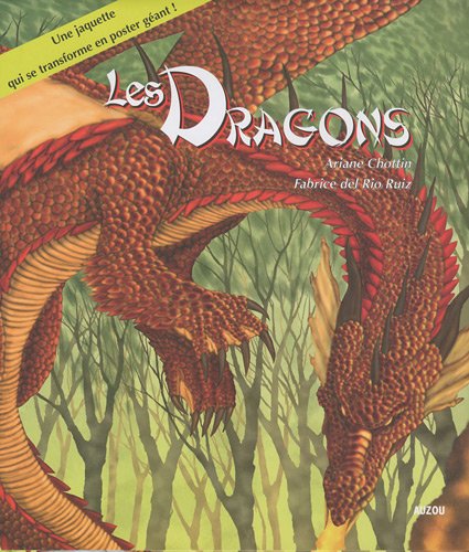 couverture de : Les dragons