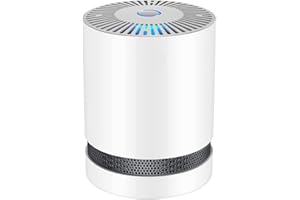 MELEDEN Air Purifiers for Home, H13 HEPA Air Purifier for Smoke Pollen Dust Dander Hair, Portable Air Cleaner with Sleep Mode Speed Control for Bedroom Office Living Room Kitchen,GL-2109