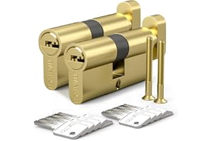Bwintech 2 piezas alike 30T/30 mm núcleo de latón europeo con llave, 60 mm cerradura núcleo de latón con 10 teclas de latón horizontales, anti recogida, anti colisión, acabado de latón pulido