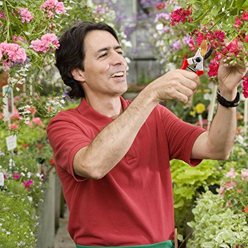 Ratschen Amboss Gartenschere EULE mit Klinge aus japanischem SK5 Stahl Baumschere zum Schneiden von TROCKENEN und SCHWER zu schneidendem Holz in 3 SCHRITTEN. Mit ZUFRIEDENHEITS-Garantie 21 Tagen ! - 6