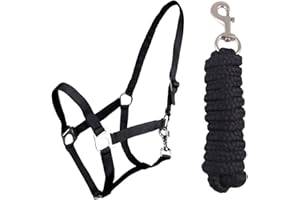QHP B.V. QHP Halfter-Set Beginner Halfter + Führstrick Heavy Karabinerhaken (Shetty, Schwarz)