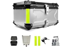 OAMGER Baúl de moto, impermeable, para parte trasera de moto, con cierre de seguridad, para guardar cascos, de aluminio, para la mayoría de motos y maxiscooters (65 l, plateado)