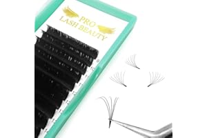 ‎PRO LASHBEAUTY Easy Fan Lashes Selbstfächernde Wimpern für Volumentechnik C D curl Wimpernverlängerung 8-15 mm Länge Volumen Wimpern (11 mm, D-0.05)
