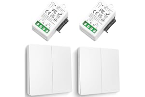 kit Interrupteur Sans Fil, Tedeligo Interrupteur Auto Générateur Relais 220V Mini Récepteur Rf émetteur Radio Télécommande 50 Mètre Contrôle De Portée Pour Les Lumières (2 Télécommandes 2 Récepteurs)