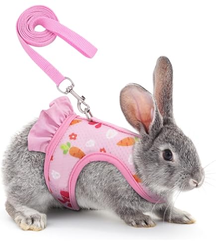 Heunec - 840935 - Klein Konijntje met Flaporen 25 cm roze - Productinformatie Konijntje met flaporen 25cm roze Oh mijn kleine konijntje Een leven zonder