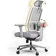 DROGO Ergonomic Office Chair for Work from Home, High Back Computer Chair with Adaptive Lumbar Support, 4D Armrest, Recline, Adjustable Height & Headrest, Mesh Chair for Office/Home (Grey)
