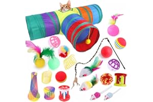 ACNCN 22 Pcs Cat Toys, Kitten Toys Interactive Cat Toys for Indoor Cats, Cat Tunnel Toys Set for Indoor Cats(22PCS Rainbow)