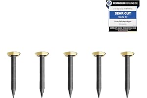 RIKAMA ONLINEVERSAND AUS EINER HAND RIKAMA® - Lot de 50 clous pour tableau de 20 mm de long - Clous en acier pour une utilisation sur le béton, la brique, le plâtre et le bois - Clous en acier trempé comme suspension d'images - Fabriqué