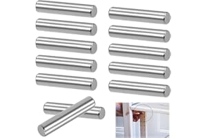 QIQN Zylinderstifte 25 Stück Bodenträger 6x40mm Regalbodenträger 304 Edelstahl für Einlegeböden