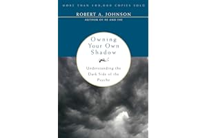 Owning Your Own Shadow: Understanding the Dark Side of the Psyche