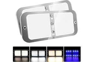 Beedove LED Deckenleuchte 12v Led Lampen Wohnmobil, 72 LED 800LM Dimmbar Dach Lichter mit Schalter/Fernbedienung, Innenbeleuchtung Auto LED für RV Camping Auto LKW Wohnwagen Boot [Energieklasse F]