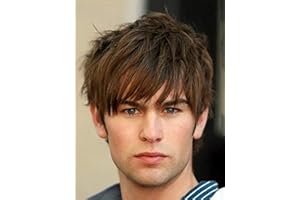 BARUISI Mens Short Wig Brown Layered Natural Synthetic Costume Cosplay Hair Wig