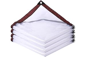 HESIOL Przezroczysta plandeka z oczkami 2 x 6 m, wodoszczelna, przezroczysta, na meble ogrodowe, odporna na warunki atmosferyczne, wodoszczelna, do użytku na zewnątrz, do szklarni