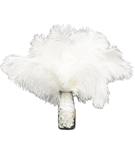 RAEF 10 Piume D'Aquila Naturali Per Artigianato - Decorazioni Copricapo, Carnevale, Fai Da Te