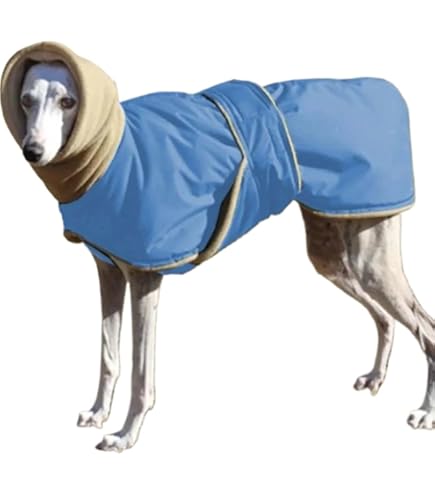 Pyjama En Coton Pour Chien, Manteau, Combinaison, ... - Grandado