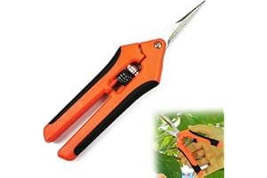 YPYMOD Gerade Kopf Kleine Gartenschere, Baumschere, Gartenschere für Bonsai Pflanzen Blumen Ernte Obst und Gemüse (165mm, Ergonomischer Griff)