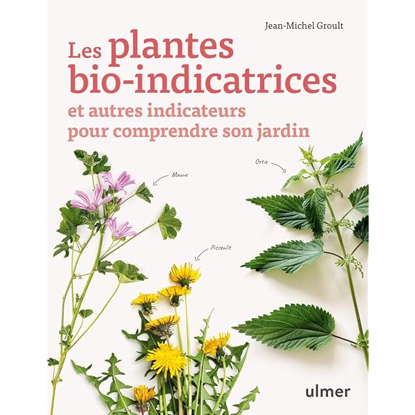 Amazon.fr - Infusions - Terroirs des simples - Poirrier