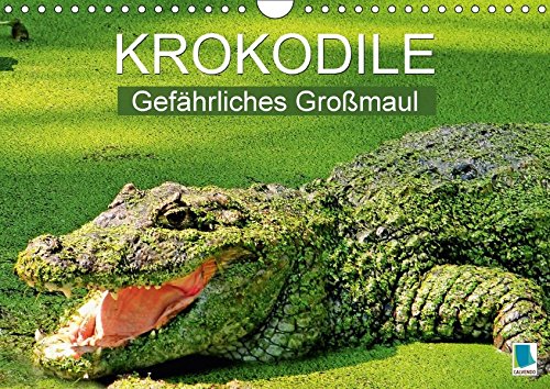 Preisvergleich Produktbild Krokodile: Gefährliches Großmaul (Wandkalender 2018 DIN A4 quer): Krokodile: Gepanzerte Gottheiten (Monatskalender, 14 Seiten ) (CALVENDO Tiere) [Kalender] [Apr 01, 2017] CALVENDO, k.A.