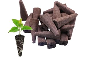 YANGWEN 30 pcs Esponjas De Cultivo para Hidroponía, Esponja de Crecimiento Plantas para Plantas Esponjas de Cultivo Hidropónico Interior