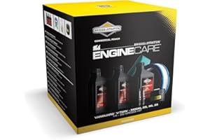 Briggs & Stratton 992240 Vanguard V-Twin/Modelo 29/30/35/14 - kit de mantenimiento del motor de potencia bruta 20