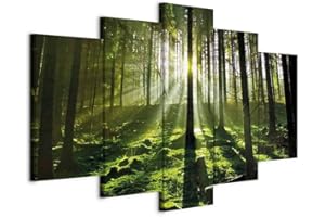 Cuadros B&D XXL - Cuadro en Lienzo Bosque Paisaje 225x112 cm 5 piezas - Impresión en material tejido no tejido cuadros decoracion salon modernos lienzos - Naturaleza Verde 030213-32