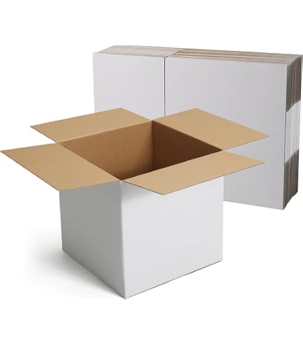 IDMENAGE - LOTTO DI 25 ASTUCCI PER SPEDIZIONE - 31X22X10 CM - 6