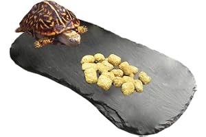 Tfwadmx Reptile Basking Platform,11''x5.5'' Tortoise Rock Plate Feeding Food Bowl Dish Feeding Slate Turtle Bathing Resting Platform for Lizard Gecko Bearded Dragon Chameleon Snake Frog